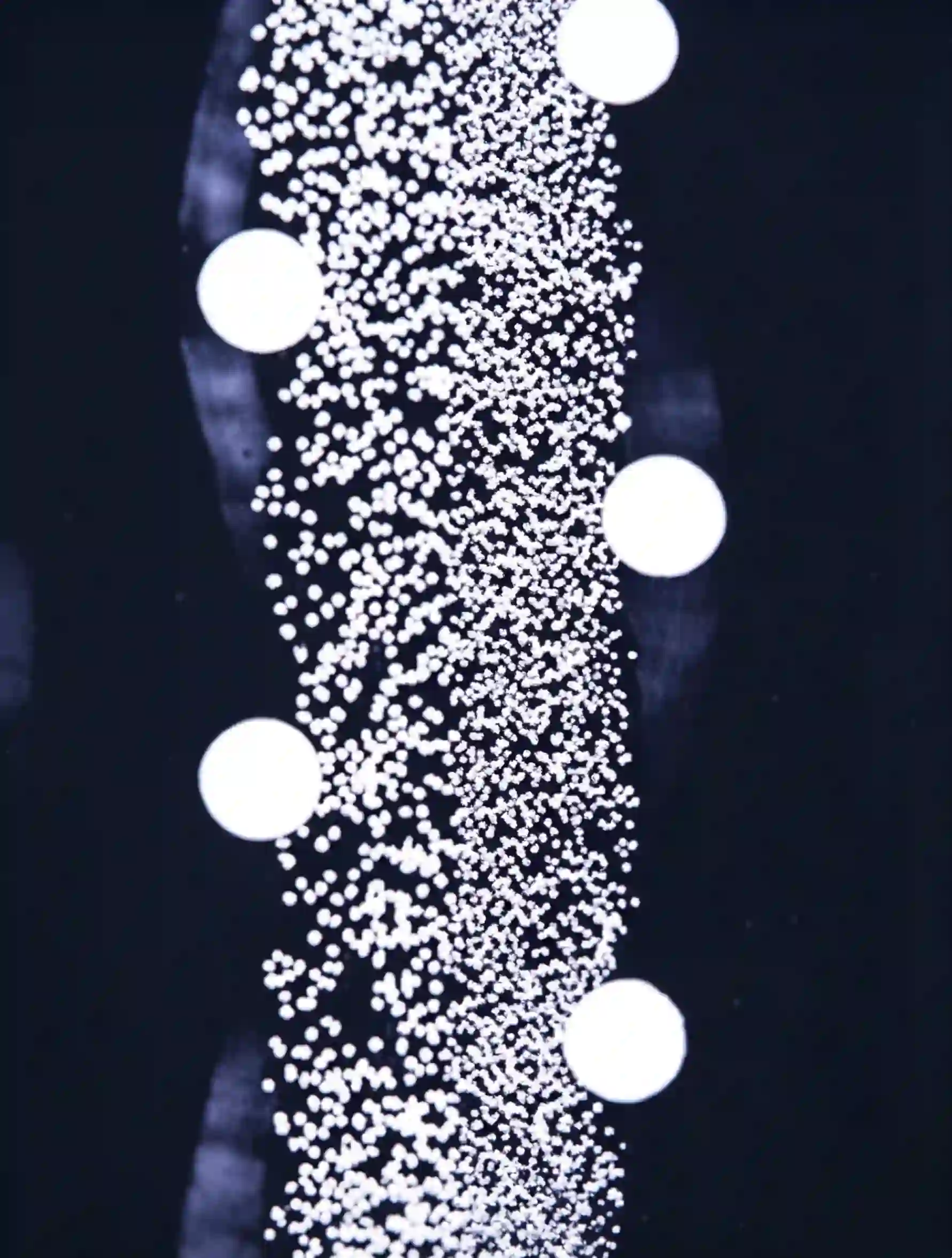 Illustration of particles captured through the depth of a fibrous filter matrix